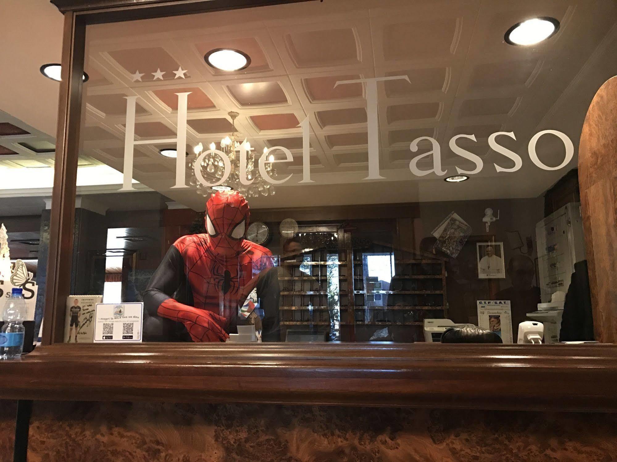 Hotel Tasso カミリアテッロ・シラーノ エクステリア 写真